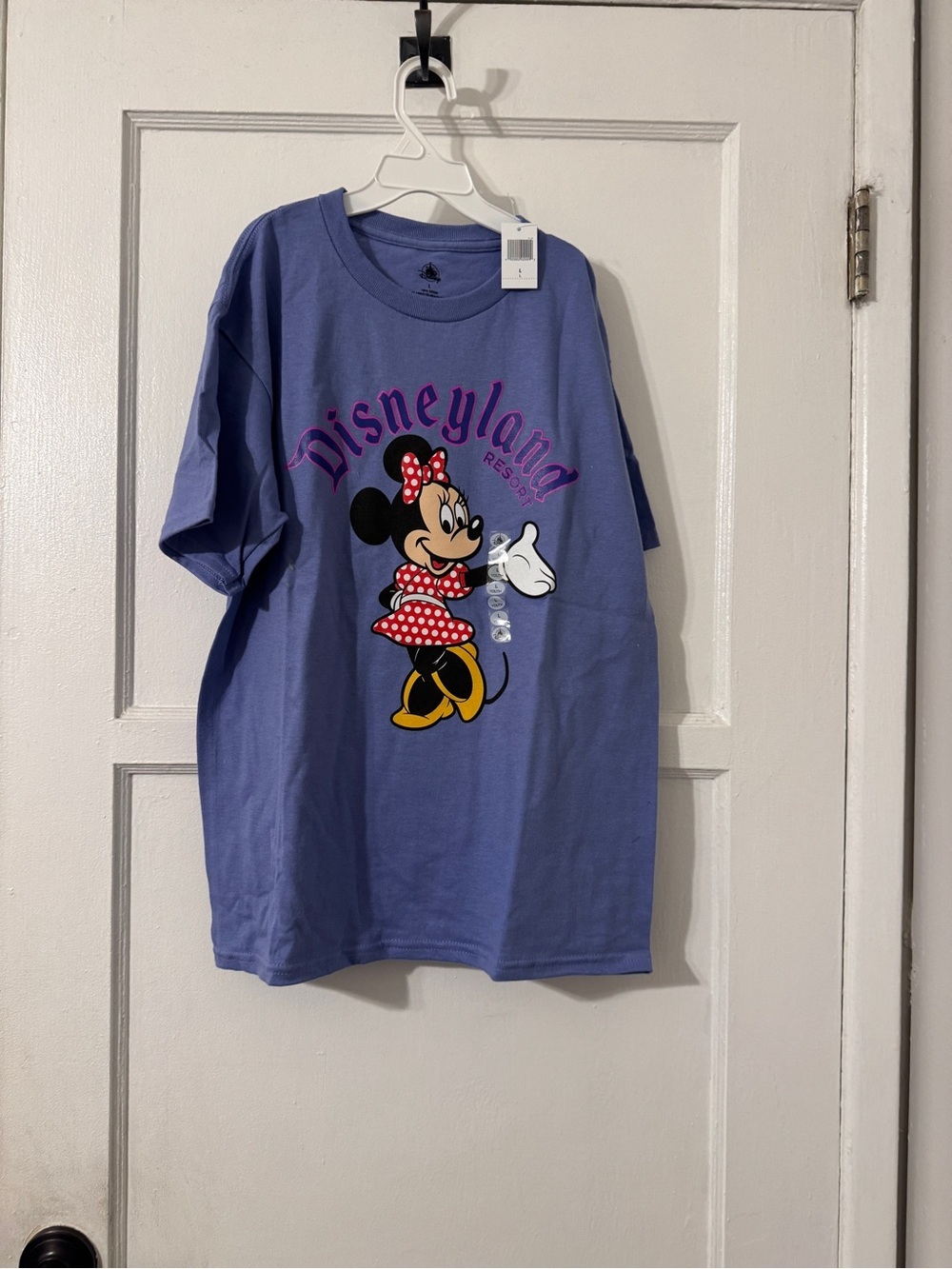 Disneyland youth top size large